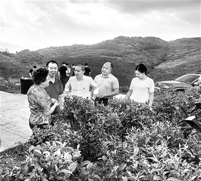 近日，中央紀委國家監(jiān)委駐中央統(tǒng)戰(zhàn)部紀檢監(jiān)察組干部在貴州省黔西南布依族苗族自治州晴隆縣，調(diào)研督查綜合監(jiān)督單位幫扶民族地區(qū)鞏固拓展脫貧攻堅成果同鄉(xiāng)村振興有效銜接情況。項健 攝